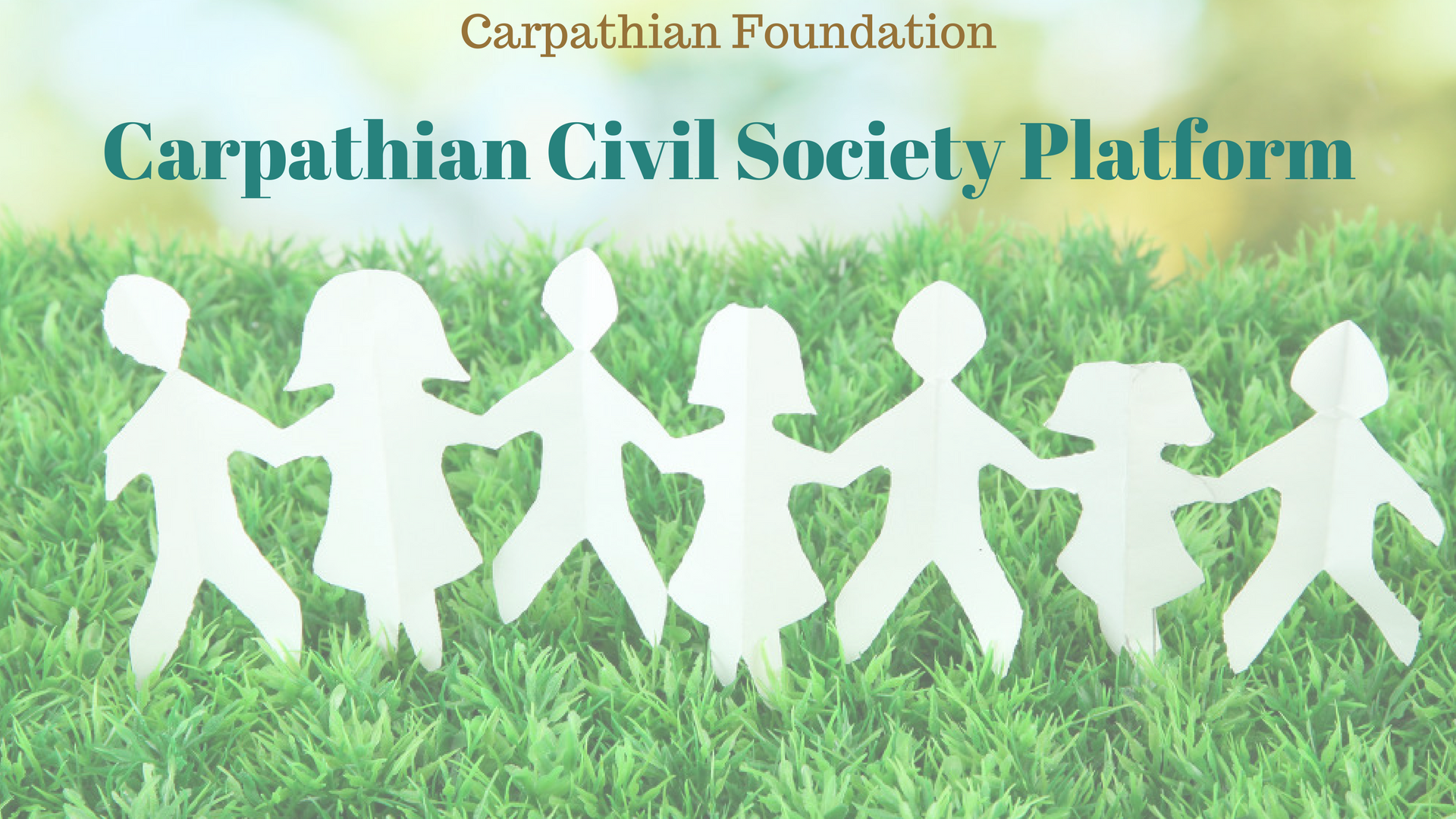 carpathian civil society platform